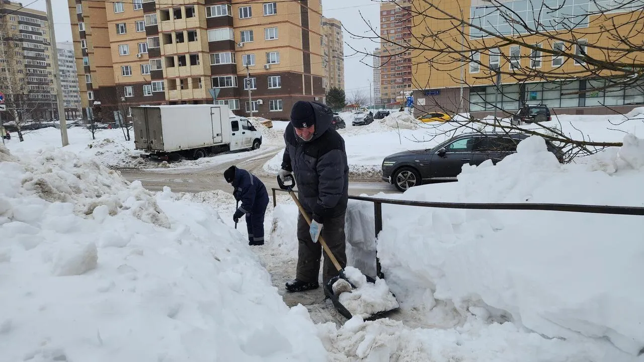 REGIONS/Валерия Тингаева