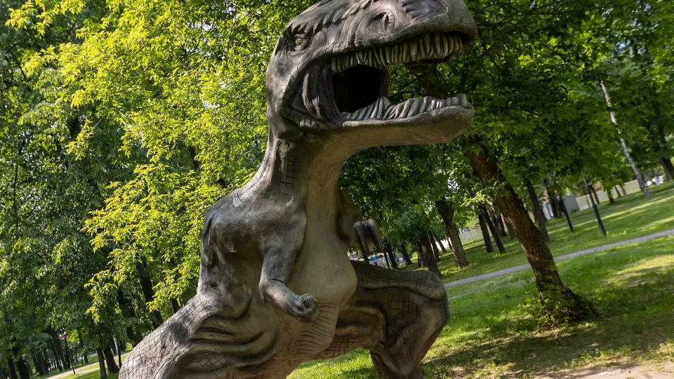 Фото: медиасток.рф