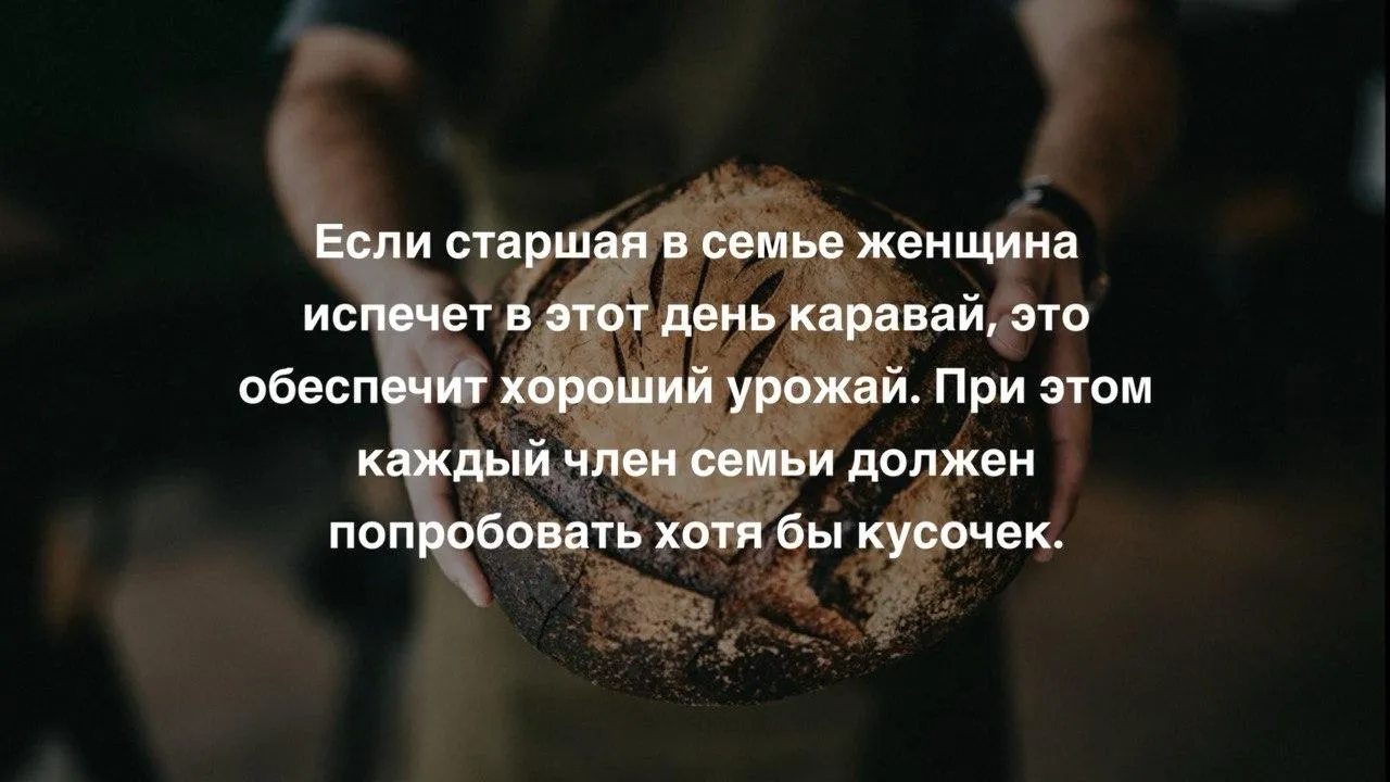Коллаж: Unsplash