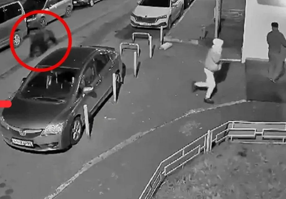 Фото из соцсетей — Медведь во дворе дома на ул. Борисова в Студгородке Красноярска