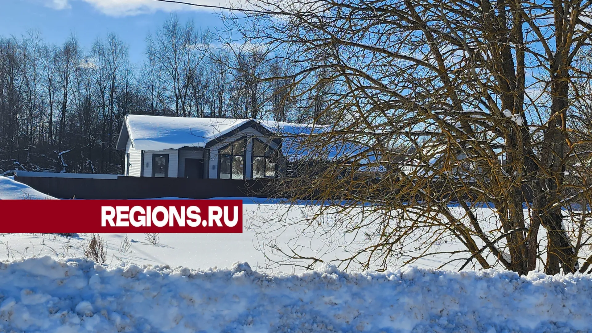 Фото: Светлана Борщева