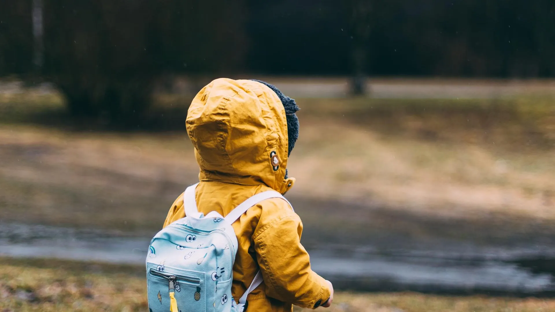 Фото: unsplash.com