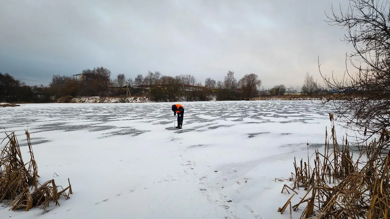 МедиаБанк Подмосковья/Ольга Антонова