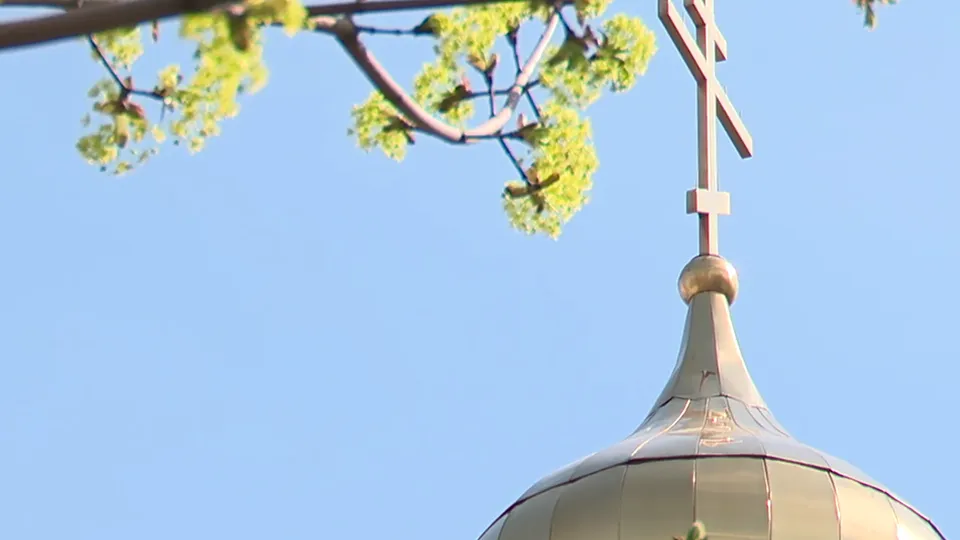 Фото: МедиаБанк Подмосковья/Ксения Казакова