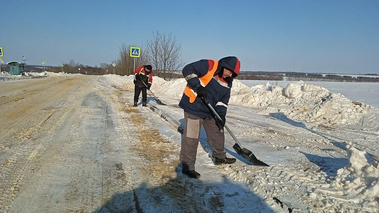 МедиаБанк Подмосковья/Ирина Матвеева
