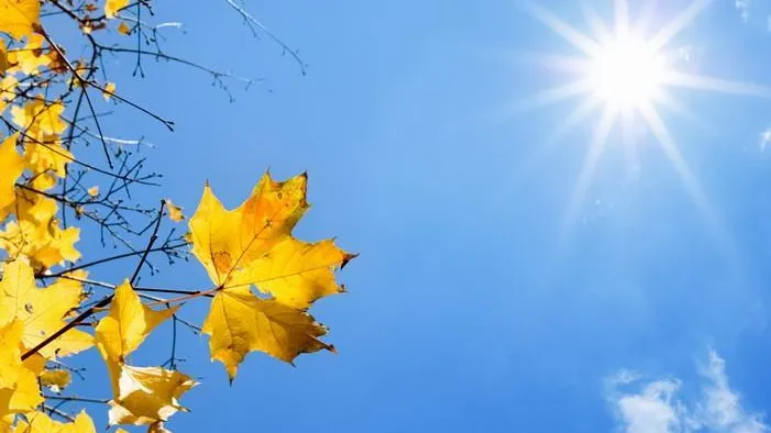 МедиаБанк Подмосковья