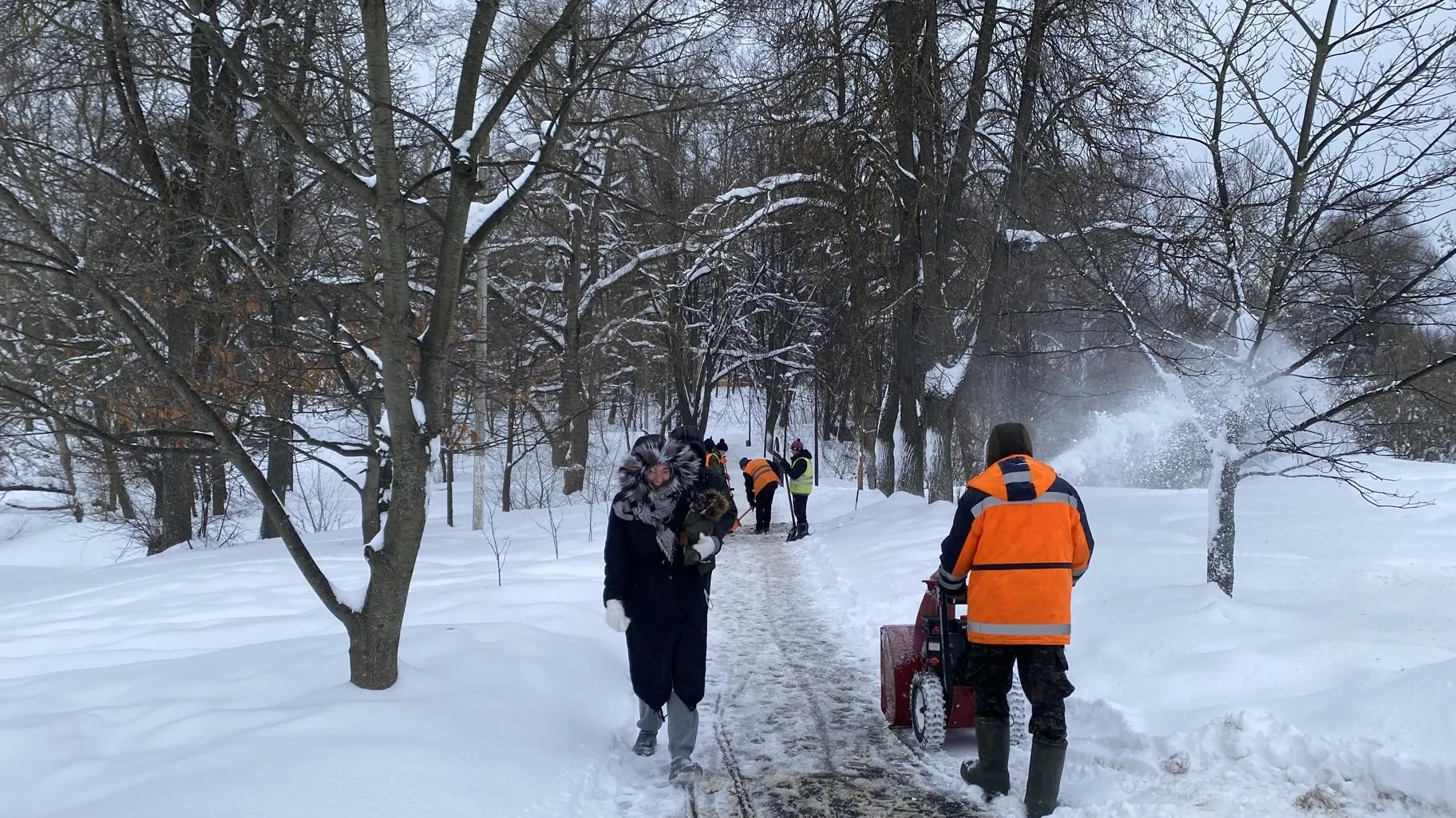 Анна Артюшина