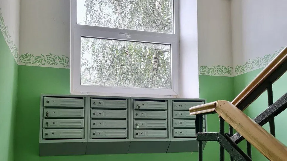 Фото: пресс-служба администрации г.о. Воскресенск