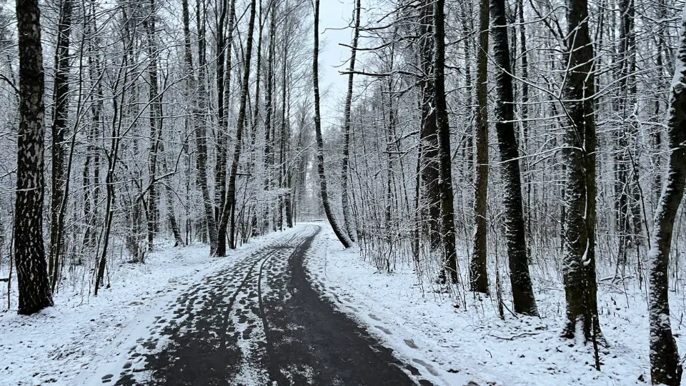 Фото: REGIONS/Елена Фурман