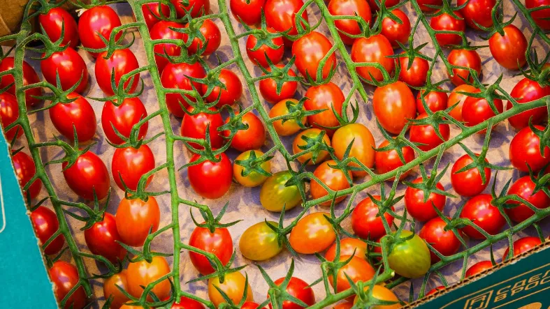 Фото: медиасток.рф