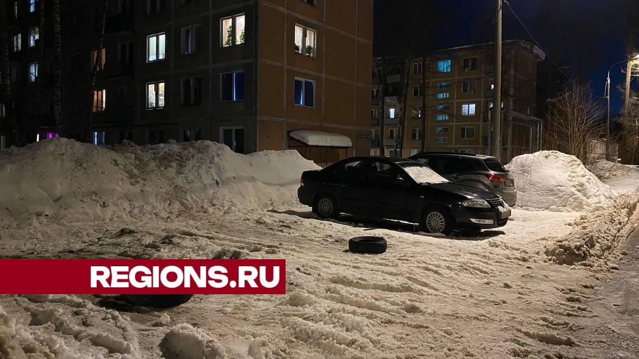 фото, видео: Елена Лабзина