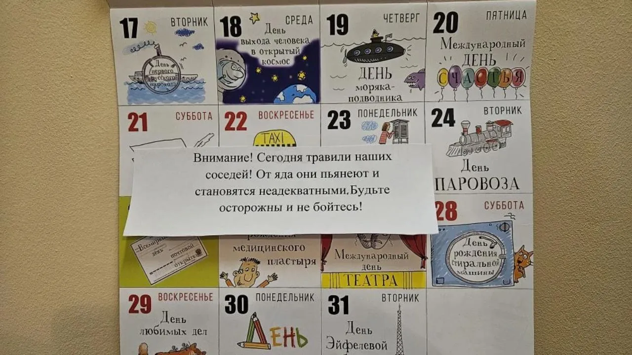 REGIONS/Дарья Недошивина