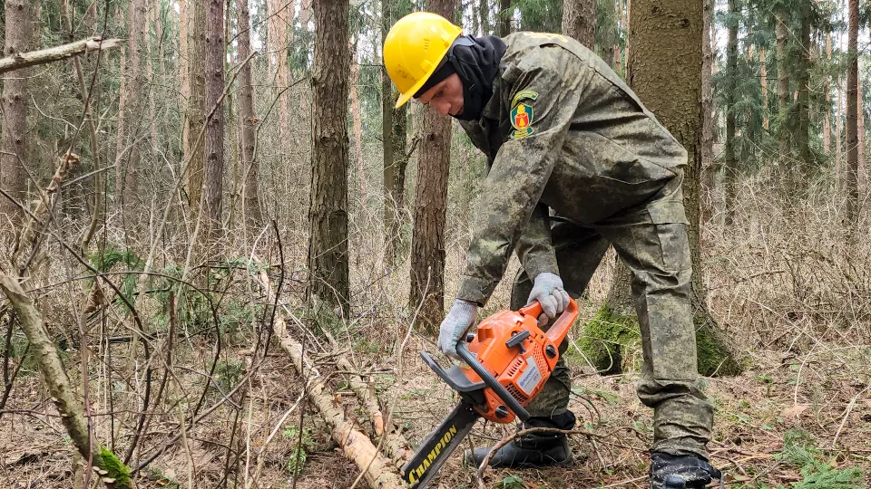 Фото: Мария Андрюхина