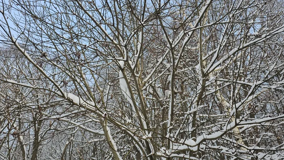 Фото: REGIONS/Александр Дрожжин