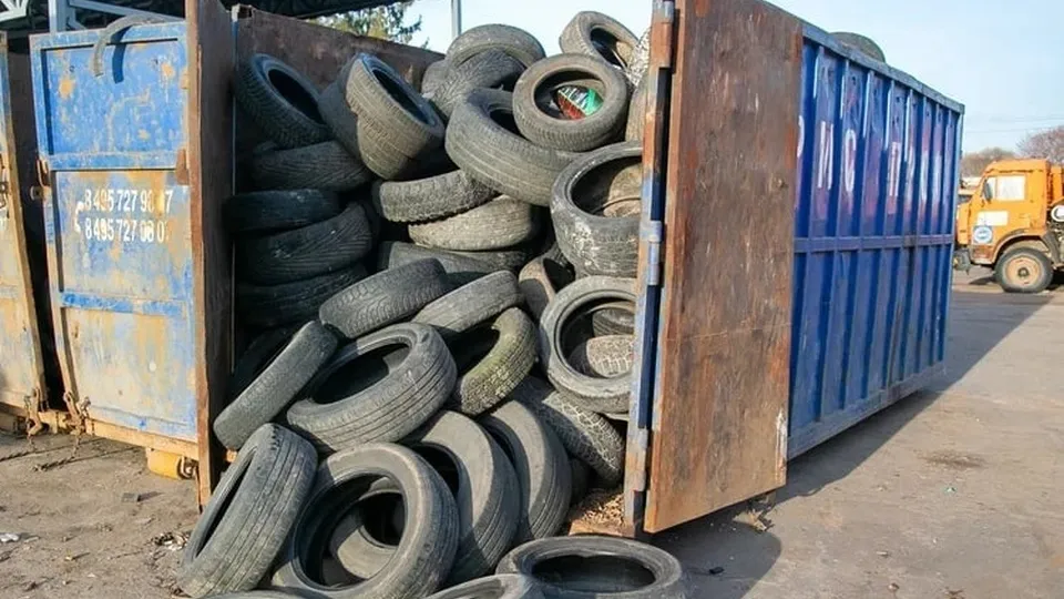 Фото: Нина Соколова