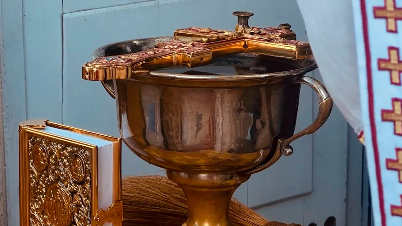 Фото: МедиаБанк Подмосковья/Ольга Стаферова