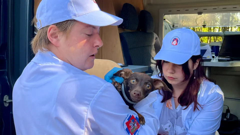 Фото: МедиаБанк Подмосковья/Анна Тюрюмина