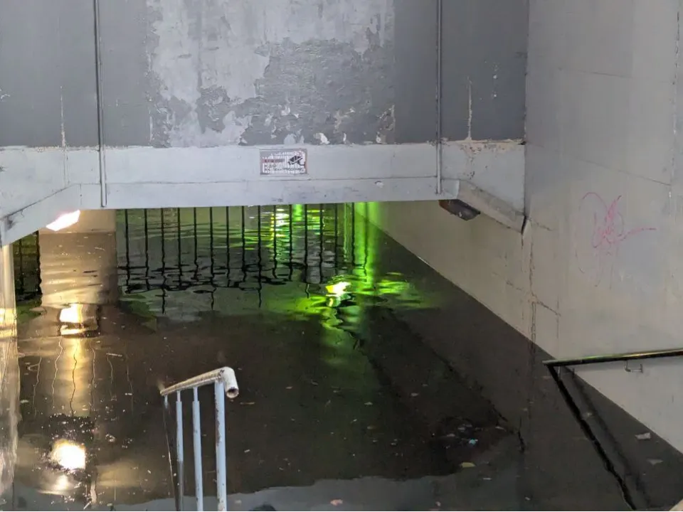 Фото: REGIONS/Артем Мишуков