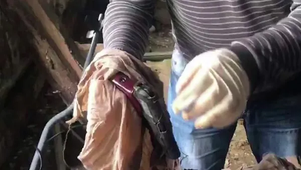 В Петербурге у пенсионера изъяли пистолет и патроны