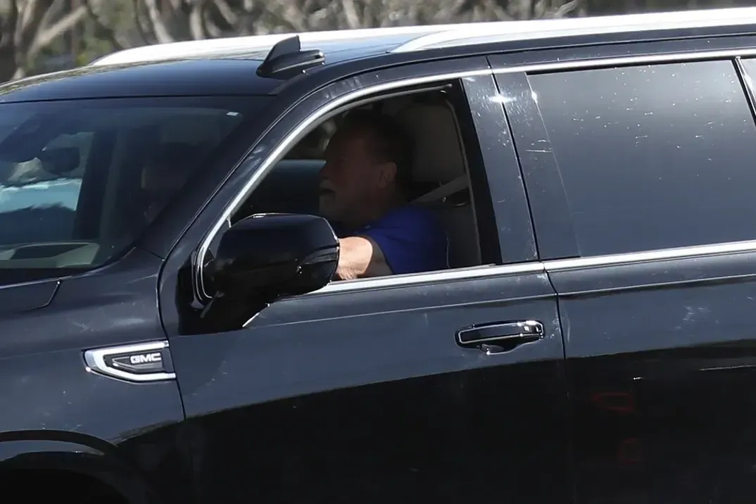 TMZ