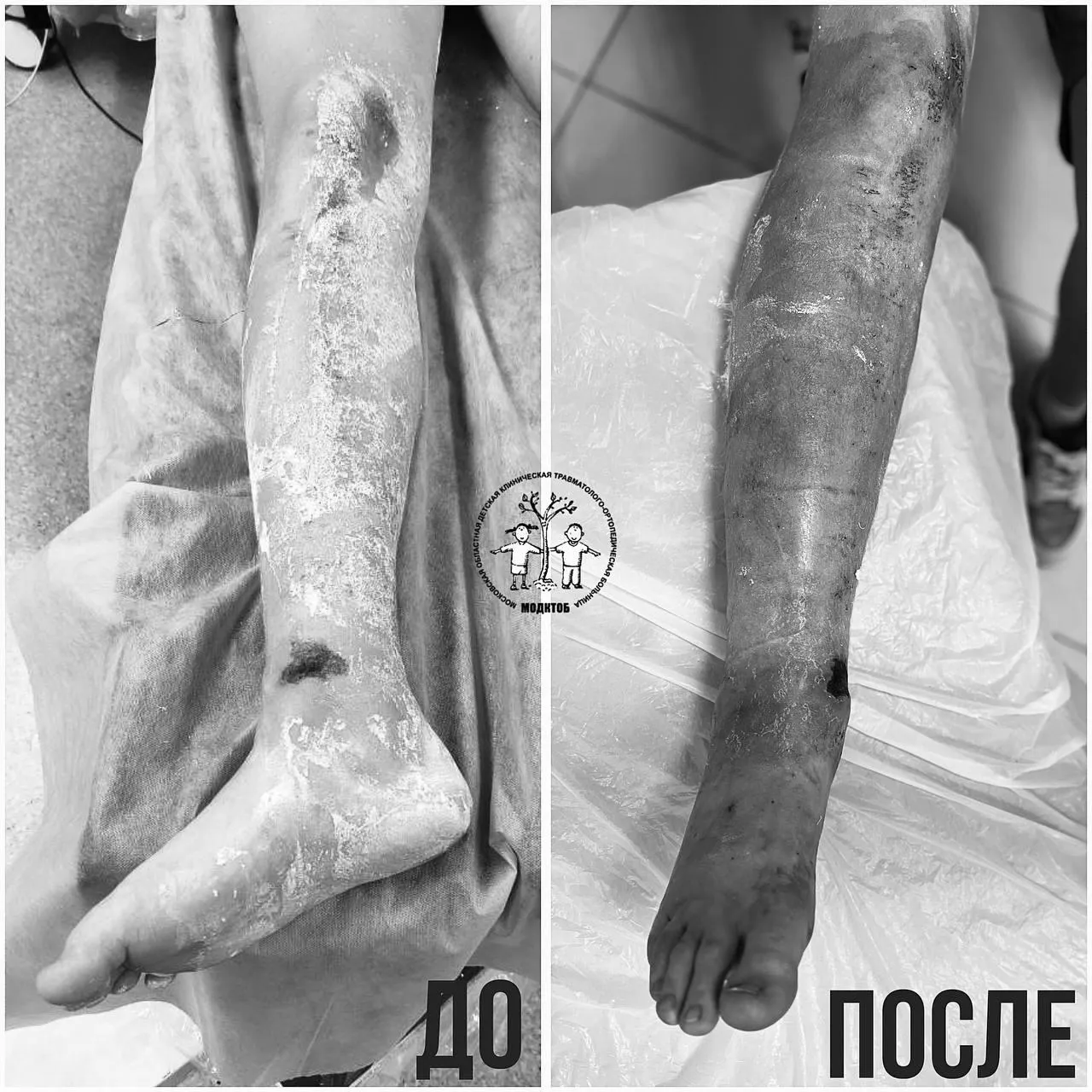 Фото: пресс-служба МОДКТОБ (Кукушкина Елизавета)