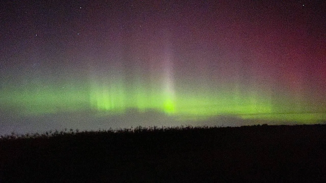 Медиабанк Подмосковья/Дарья Леонова