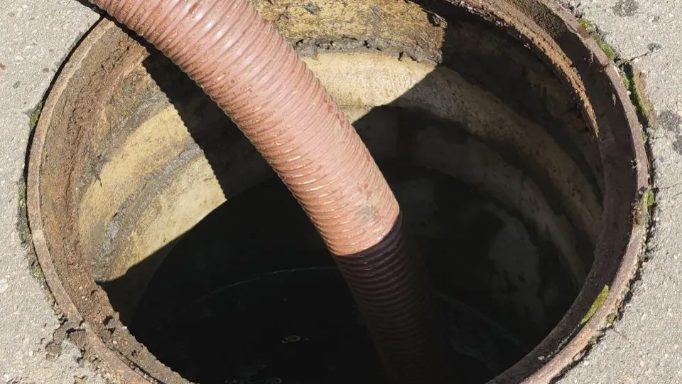 Фото: МедиаБанк Подмосковья/Наталья Лымарь