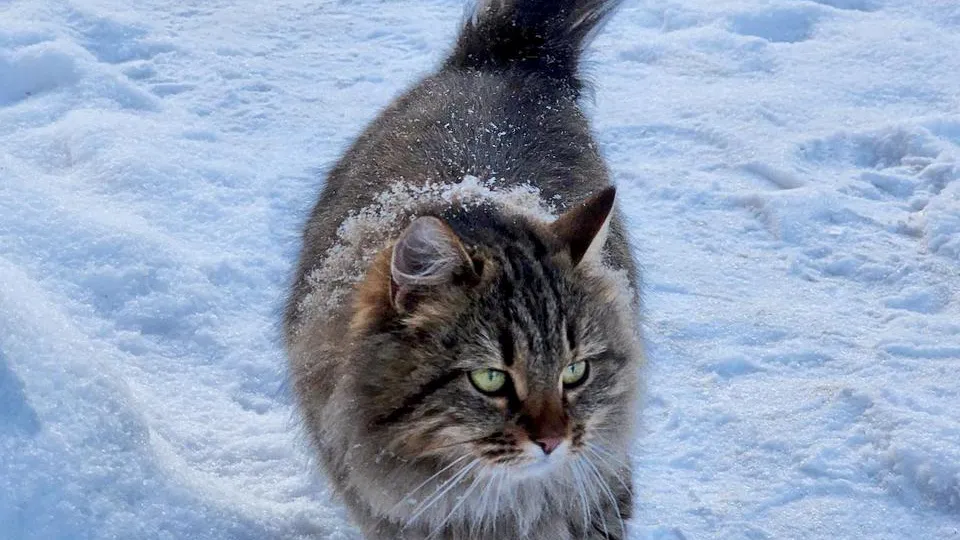Фото: МедиаБанк Подмосковья/Анна Шолохова