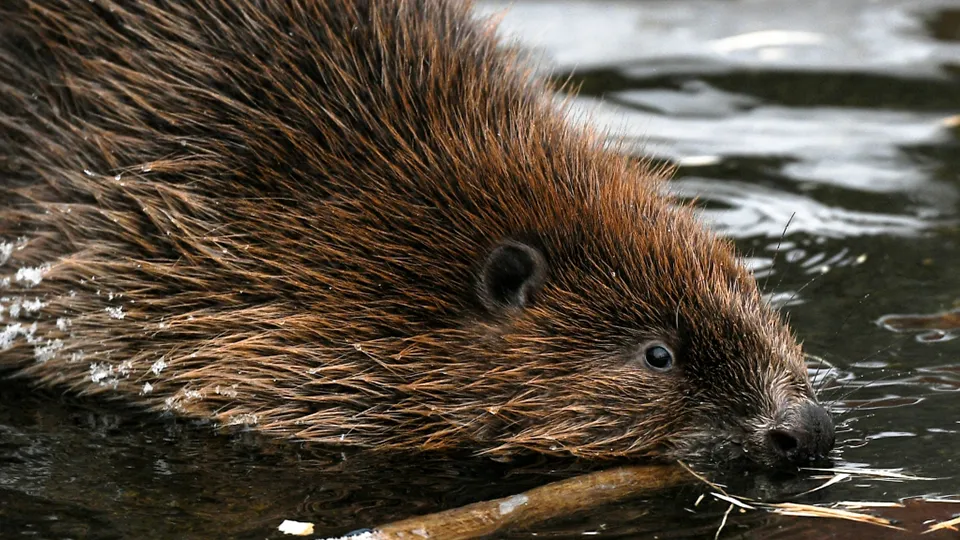 Фото: РИА Новости/Максим Блинов