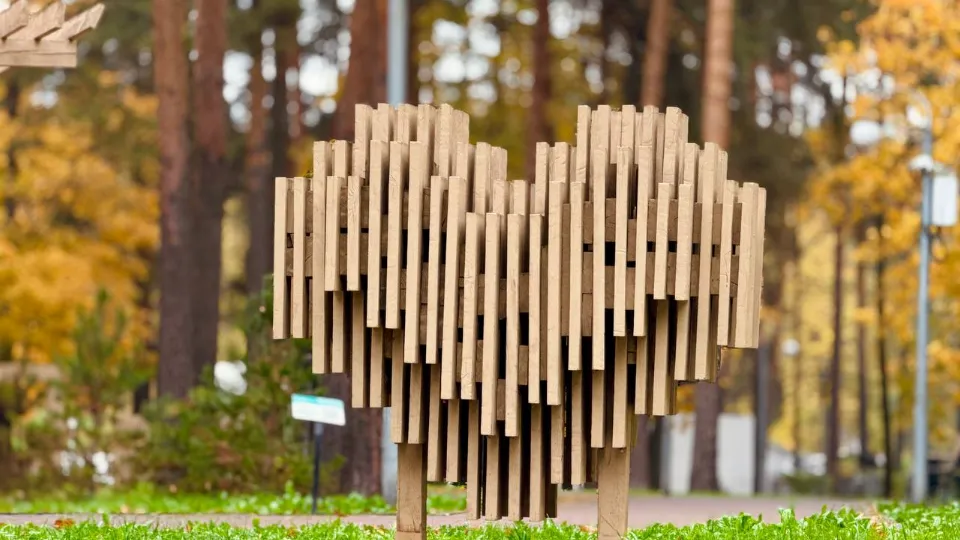 Фото: t.me/parkividnoe