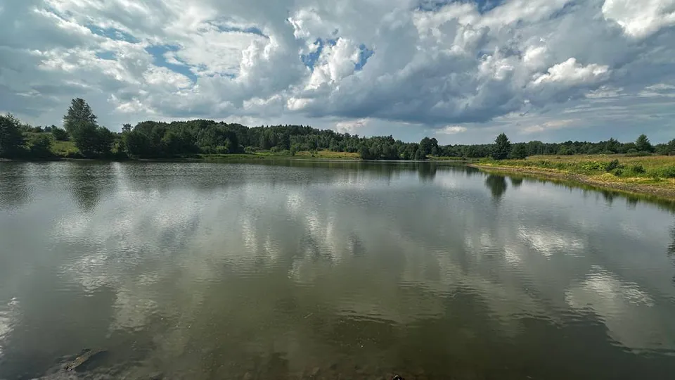 Фото: пресс-служба Министерства экологии и природопользования Московской области