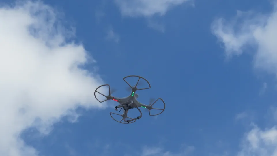 Фото: pxhere.com