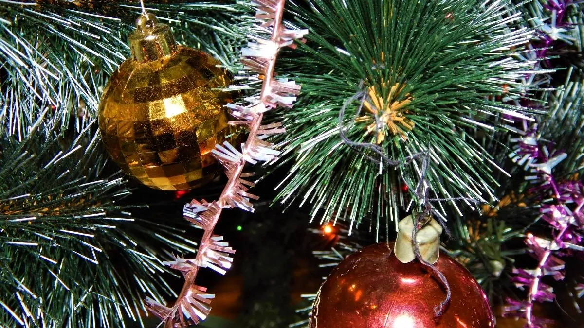 Фото: pxhere.com