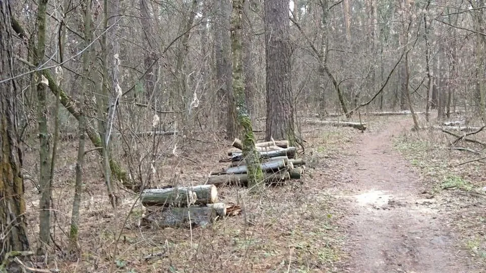 Фото: пресс-служба администрации г.о.Котельники