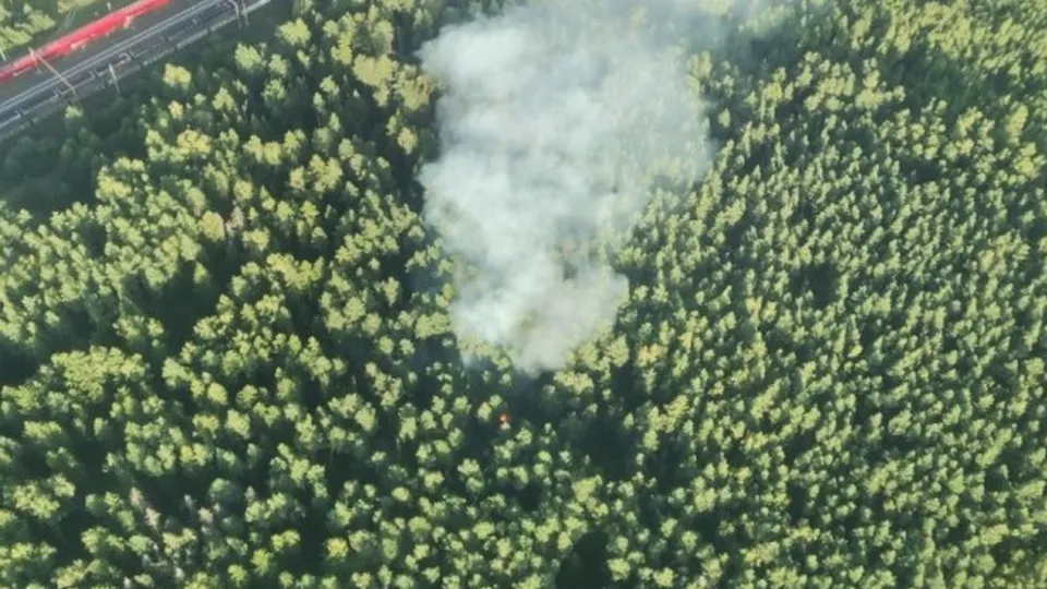 Фото: Комитет лесного хозяйства Московской области