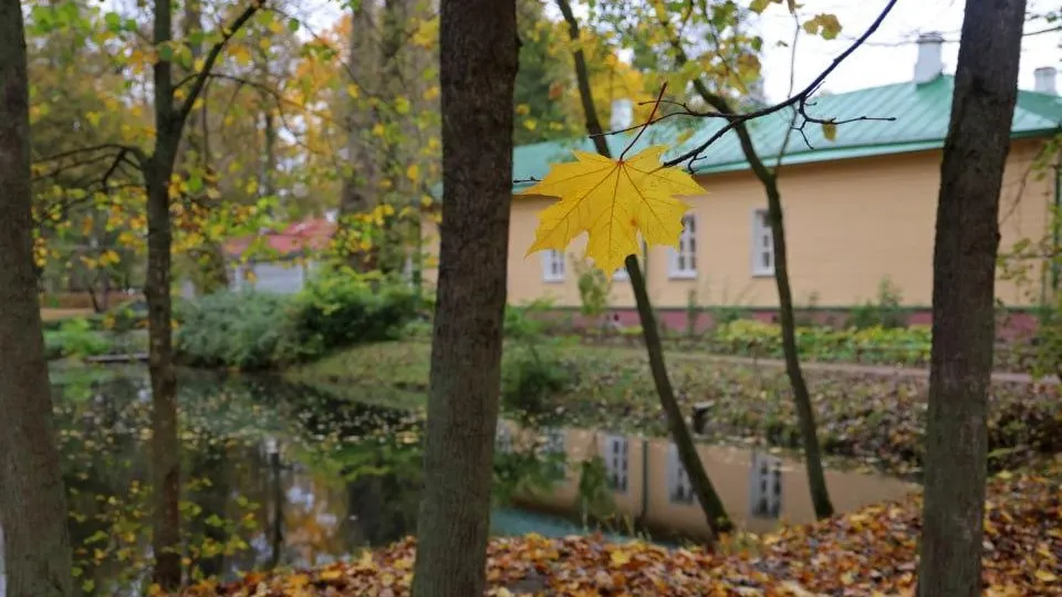 Фото: музей-заповедник А. П. Чехова «Мелихово»