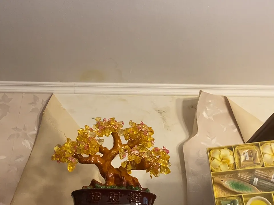 Фото: REGIONS/Елена Аботурова