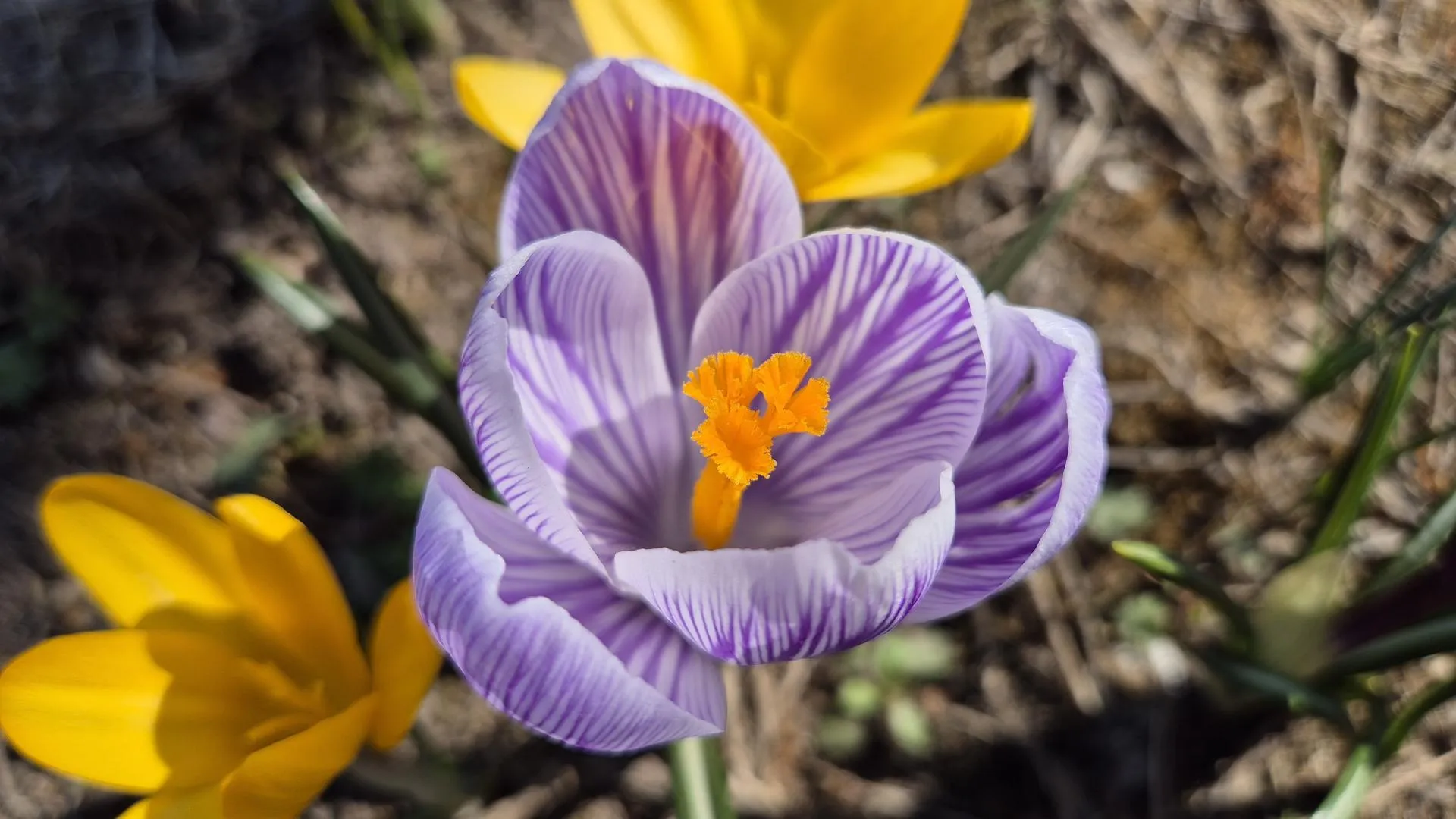 REGIONS/Ольга Панина