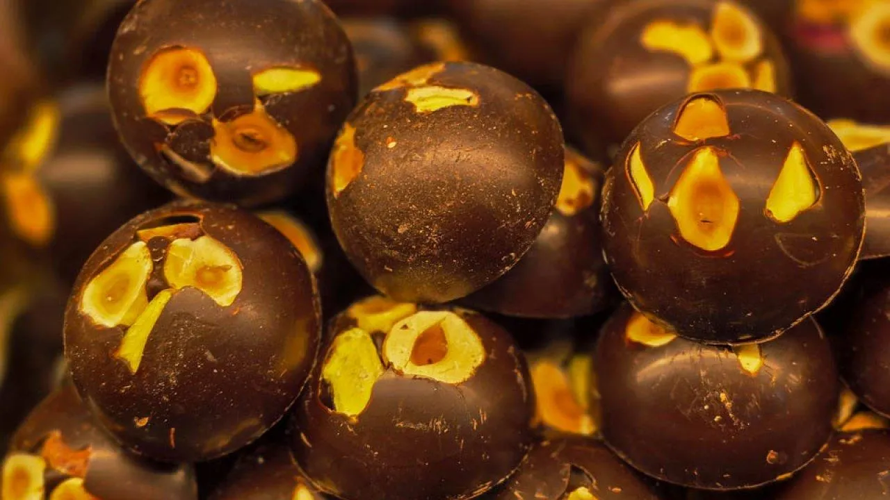 REGIONS/Елена Болотова