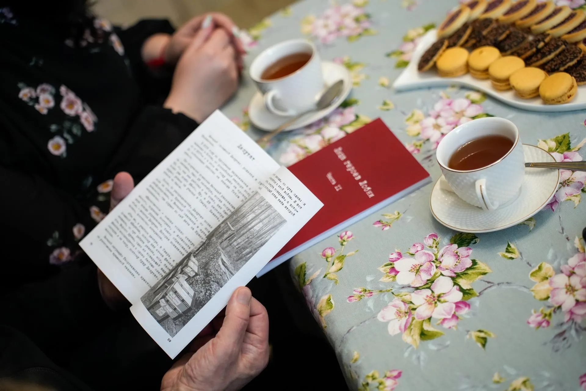 пресс-служба губернатора и правительства Московской области/Александра Степанова