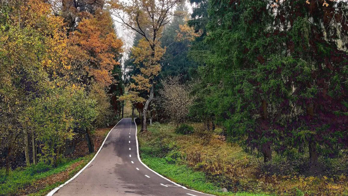 Фото: МБУ «Дирекция парков Одинцовского городского округа»