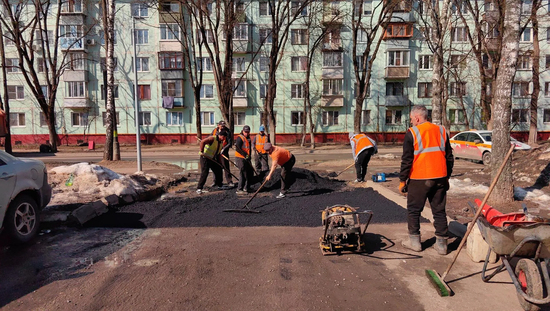 Елена Катасонова