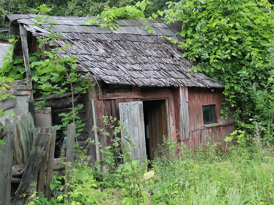 Фото: istockphoto.com