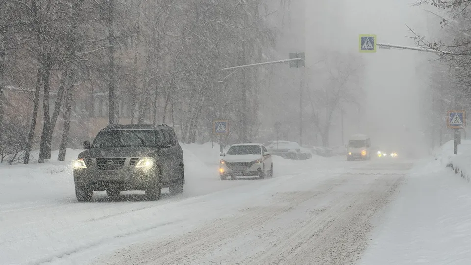 Фото: Александр Легкий