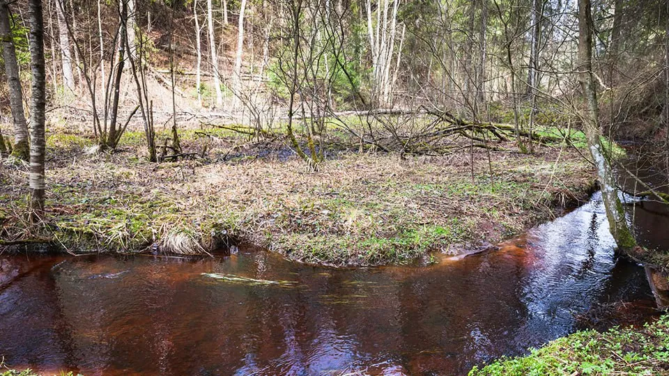 Фото: istockphoto.com