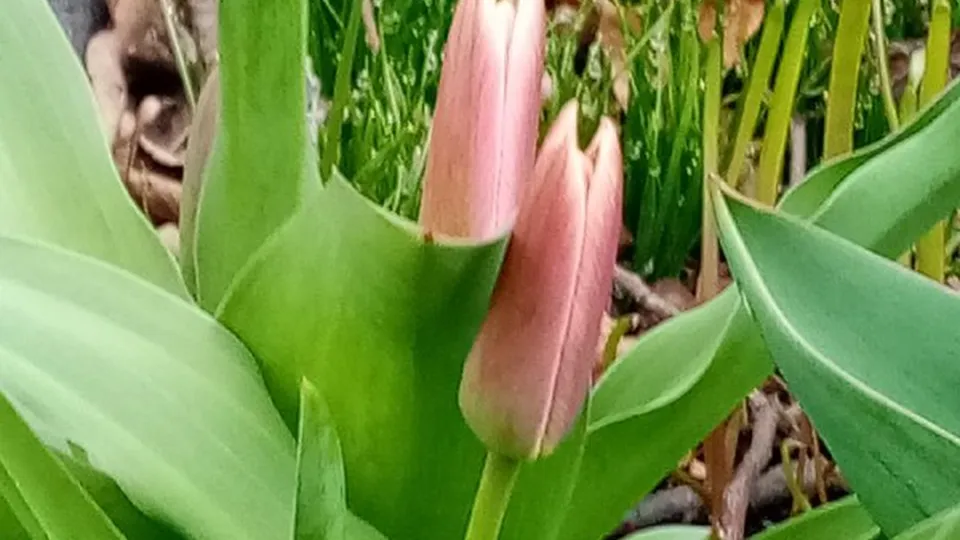 Фото: Елена Быховская