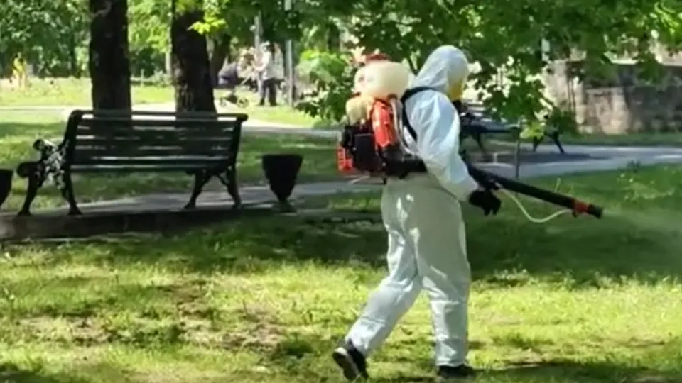 Фото: t.me/КлинZдесь.НОВОСТИ