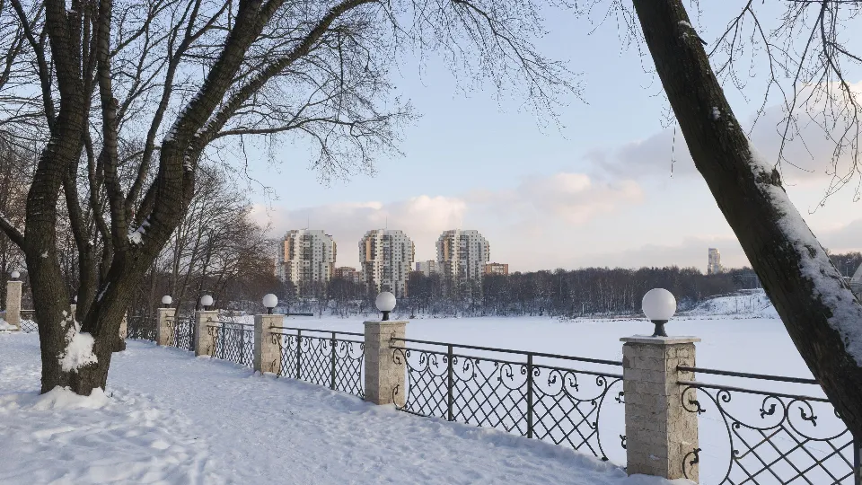 Фото: медиасток.рф