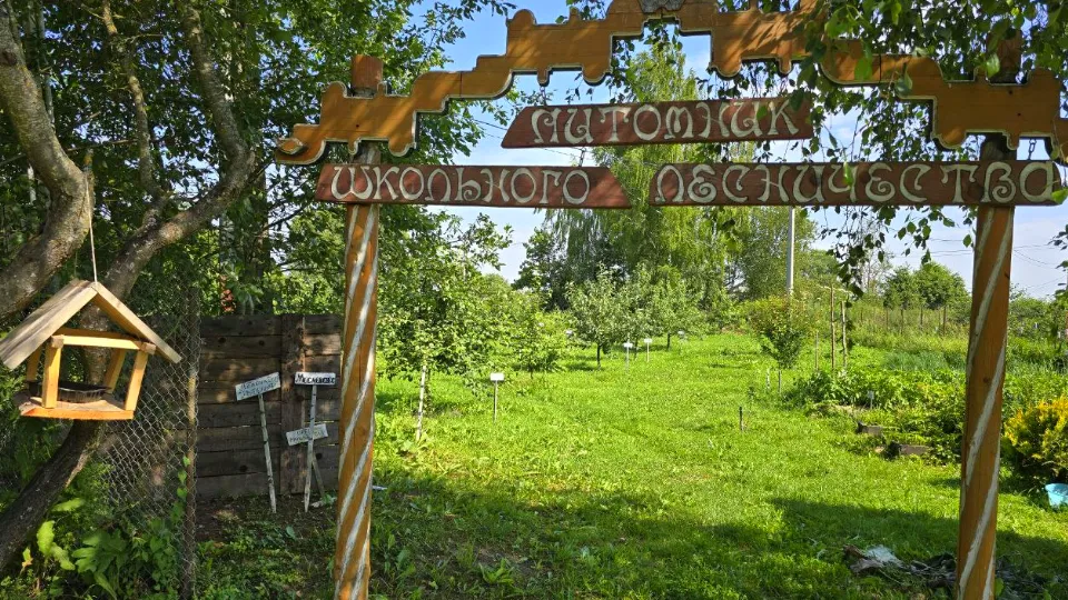 Фото: МедиаБанк Подмосковья/Яна Шаливская