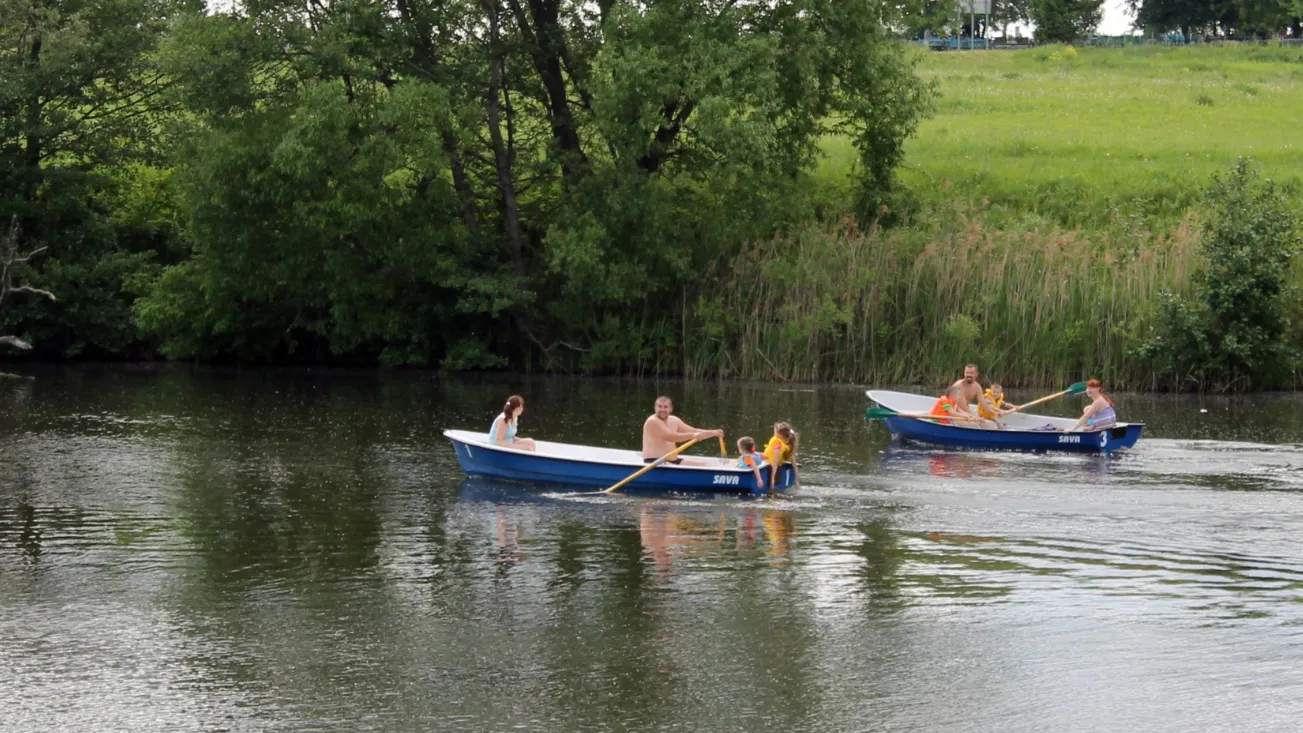 Фото: Медиаархив Подмосковья